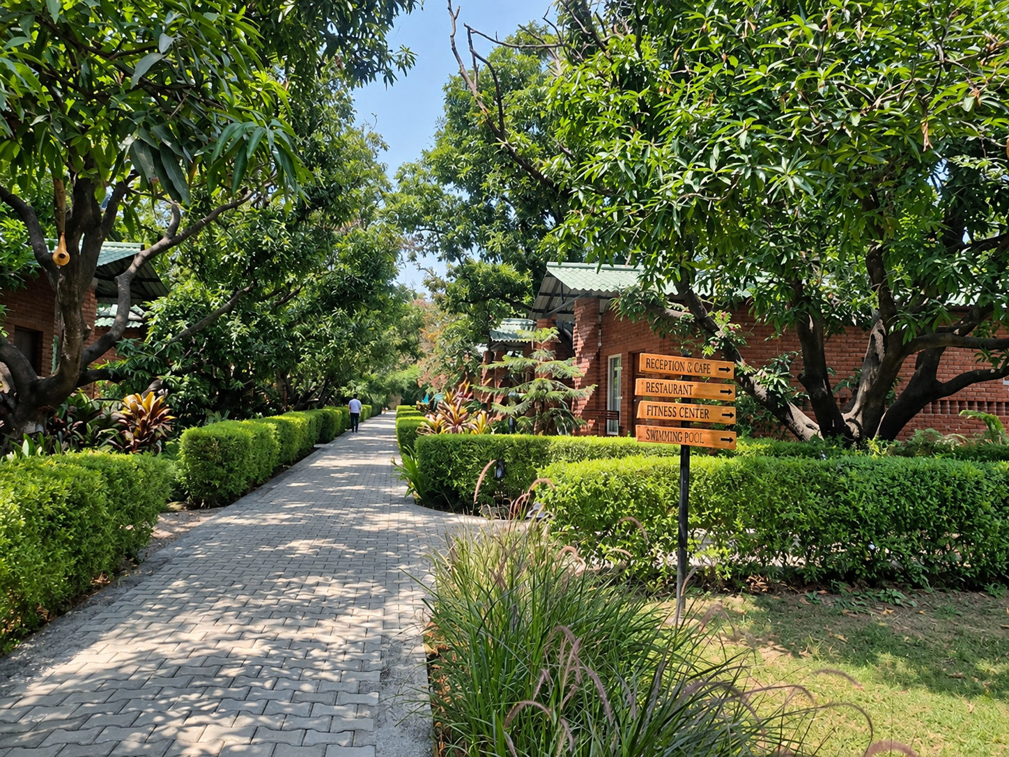Architecture designed around the mango orchard