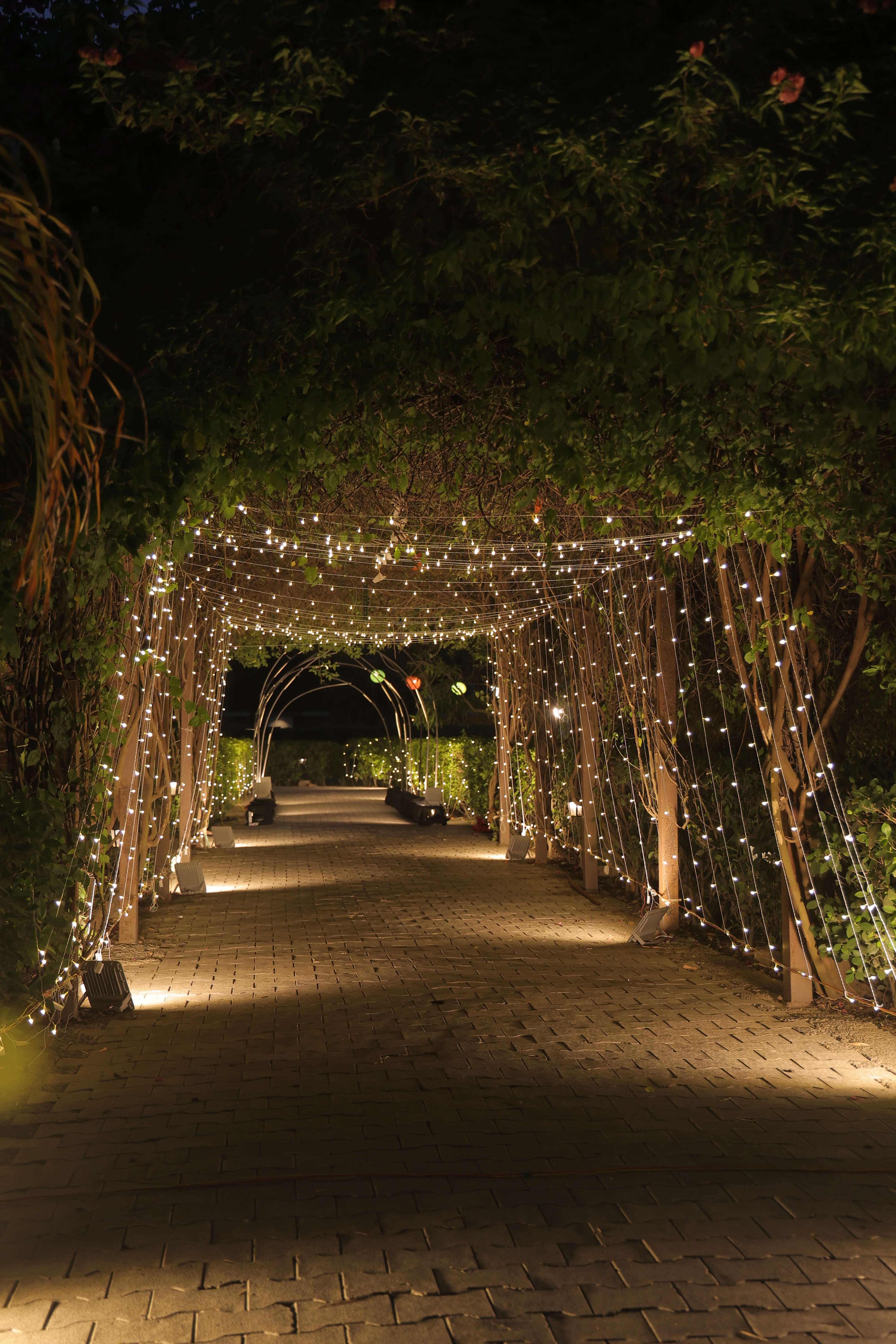 Wedding Night